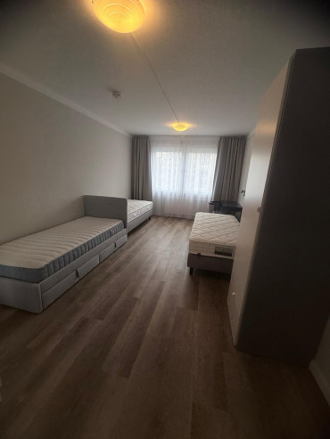 Autumn rooms